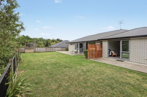 Photo of property in 31 Ruba Way, Ohauiti, Tauranga, 3112