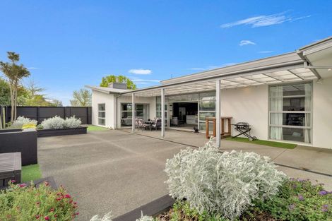 Photo of property in 127 Pegasus Boulevard, Pegasus, 7612