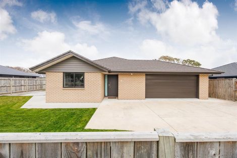 Photo of property in 51 Wilson Street, Bulls, 4818