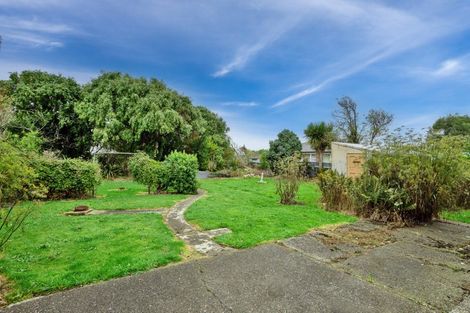 Photo of property in 111 Panton Street, Appleby, Invercargill, 9812