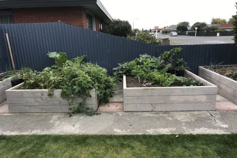 Photo of property in 1/65 William Street, Ashburton, 7700