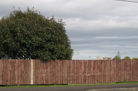 Photo of property in 129 Ellicott Road, Nawton, Hamilton, 3200