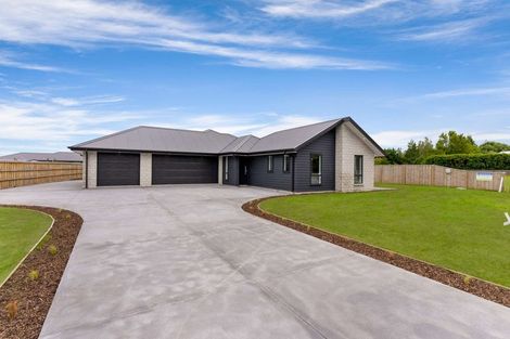 Photo of property in 1 Harrier Place, Amberley, 7410