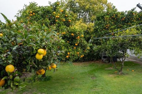 Photo of property in 8 Mckeefry Avenue, Greenmeadows, Napier, 4112