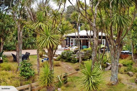 Photo of property in 54 Beach Valley Road, Piha, New Lynn, 0772