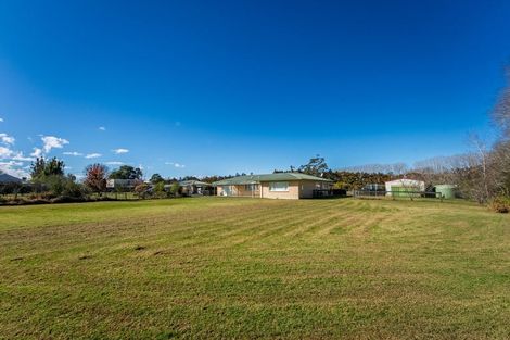 Photo of property in 1284 Dairy Flat Highway, Dairy Flat, Albany, 0794