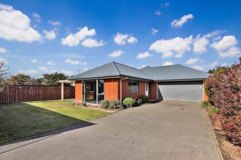 Photo of property in 131 Harland Street, Tinwald, Ashburton, 7700
