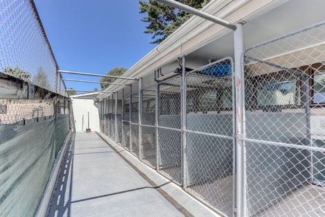 Photo of property in 207 Roberts Avenue, Aramoho, Whanganui, 4584