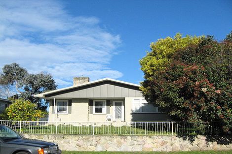 Photo of property in 103 Ballantyne Street, Frimley, Hastings, 4120