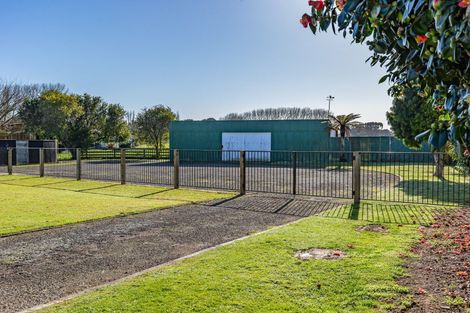 Photo of property in 51 Roslyn Road, Levin, 5510