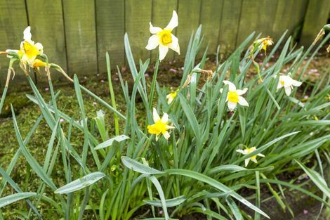 Photo of property in 3 Topaz Street, Birchville, Upper Hutt, 5018