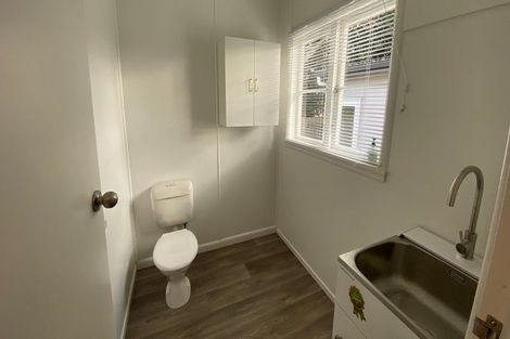 Photo of property in 19 Fox Street, Hamilton East, Hamilton, 3216