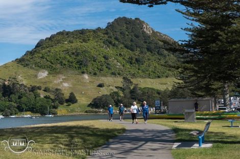 Photo of property in 3 Commons Avenue, Mount Maunganui, 3116