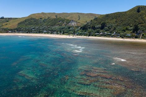 Photo of property in 53 Makorori Beach Road, Makorori, Gisborne, 4073