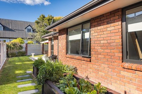 Photo of property in 47 Mcgregor Street, Milson, Palmerston North, 4414