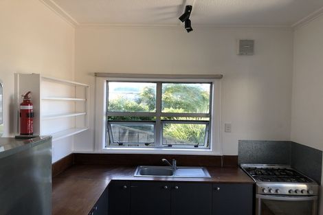 Photo of property in 14 Rolleston Street, Mount Cook, Wellington, 6021