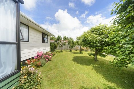 Photo of property in 41 Armagh Terrace, Marton, 4710