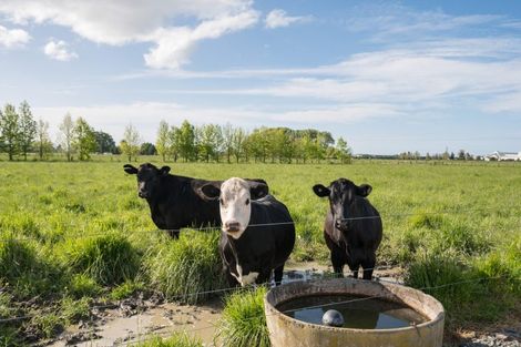 Photo of property in 58 Swamp Road, Appleby, Richmond, 7081