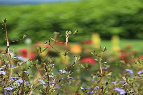 Photo of property in 145 Hall Road, Rangiriri, Te Kauwhata, 3782