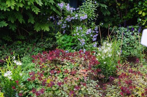 Photo of property in 61 Cannington Road, Maori Hill, Dunedin, 9010