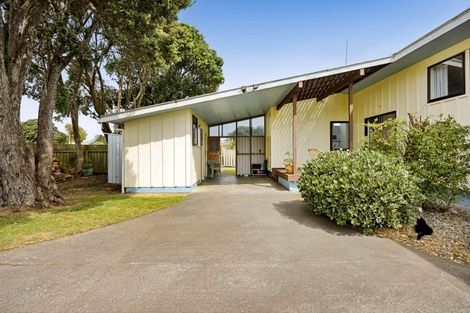 Photo of property in 29 Gibson Place, Patea, 4520