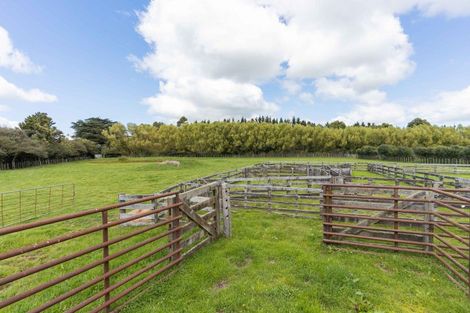 Photo of property in 121 Mount Stewart Halcombe Road, Sanson, Palmerston North, 4479