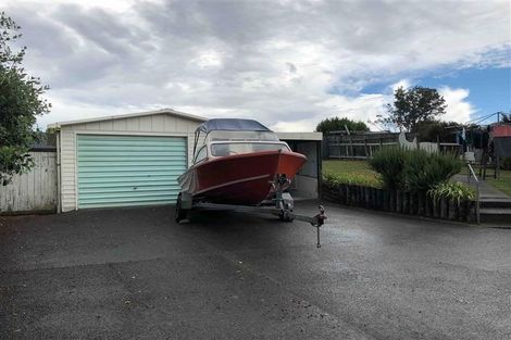 Photo of property in 19 Given Street, Havelock North, 4130