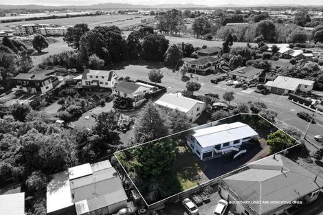 Photo of property in 43 Mitcham Avenue, Forest Lake, Hamilton, 3200