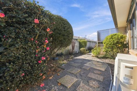 Photo of property in 33a Shannon Place, Belfast, Christchurch, 8051