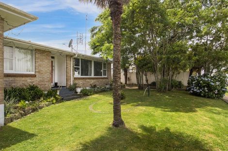 Photo of property in 5 Toomey Street, Waihi, 3610
