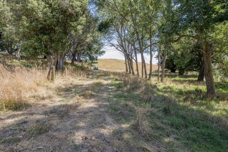 Photo of property in 190 Hokio Sand Road, Hokio Beach, Levin, 5571
