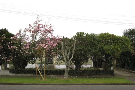 Photo of property in 7 Hobson Street, Levin, 5510