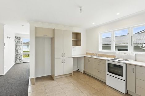 Photo of property in 33 Middlesex Street, Levin, 5510