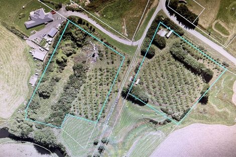 Photo of property in 25 Newport Street, Milton, 9220