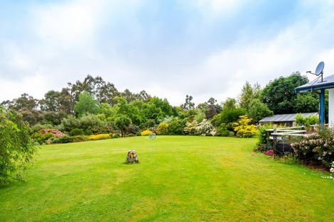 Photo of property in 65 Ribbonwood Road, Geraldine Downs, Geraldine, 7991