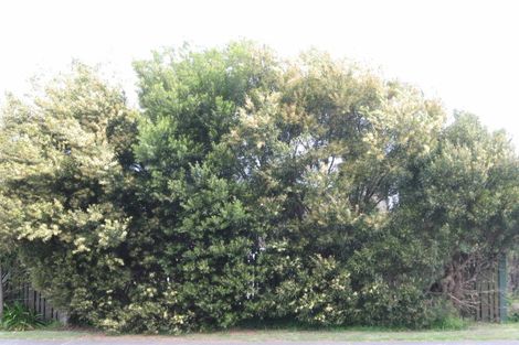 Photo of property in 415 Achilles Avenue, Whangamata, 3620