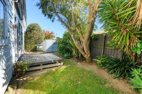 Photo of property in 17 Millar Street, Terrace End, Palmerston North, 4410