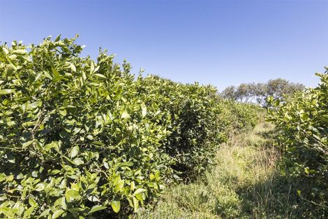 Photo of property in 711 Makerua Road, Tokomaru, Palmerston North, 4474