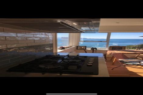 Photo of property in 49 Hornsey Road, Melrose, Wellington, 6023