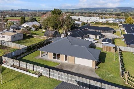 Photo of property in 8b Carrick Robertson Place, Waihi, 3610