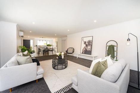 Photo of property in 154a Lethbridge Street, Feilding, 4702