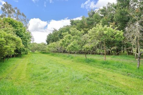 Photo of property in 923 Downs Road, Eyrewell, Rangiora, 7476