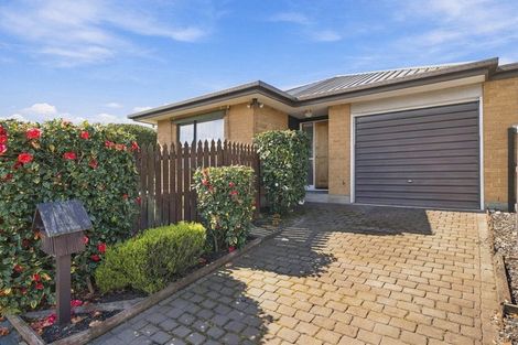 Photo of property in 33a Shannon Place, Belfast, Christchurch, 8051
