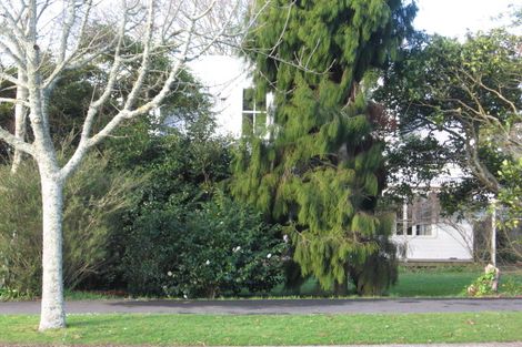 Photo of property in 184 Fox Street, Hamilton East, Hamilton, 3216