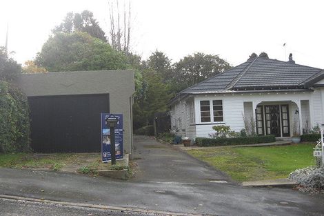 Photo of property in 31 Leven Street, Roslyn, Dunedin, 9010