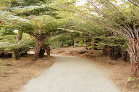 Photo of property in 8375 State Highway 2, Waikino, Waihi, 3682
