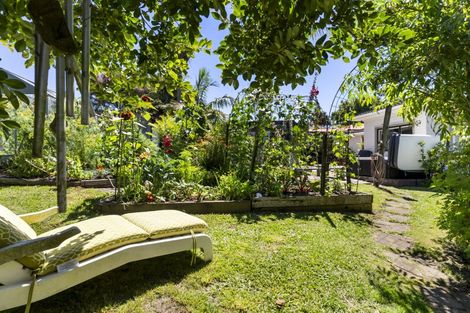 Photo of property in 11 Himikera Avenue, Avondale, Auckland, 1026