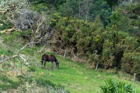 Photo of property in 1262 East Coast Road, Redvale, Albany, 0794