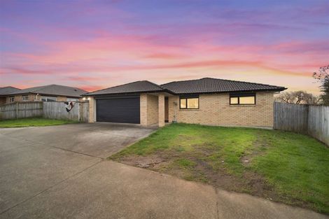 Photo of property in 33 Lachlan Place, Favona, Auckland, 2024