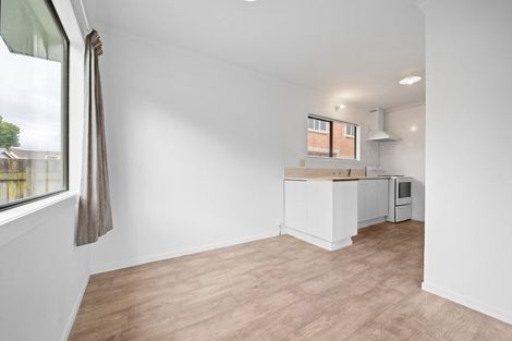 Photo of property in 48 York Street, Hamilton East, Hamilton, 3216